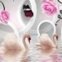 Osanna35