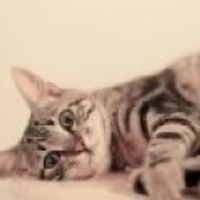 rashida