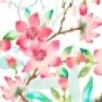 gracechow